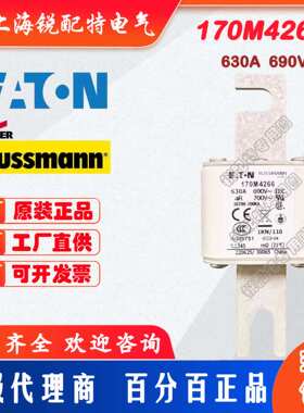 170M4266快速熔断器 690V 630A 巴斯曼BUSSMANN快速熔断器