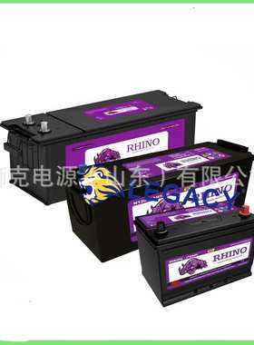德国RHINO蓄电池21068032、68033、68019、68018启动铅酸电瓶