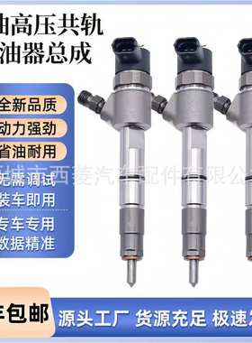 适用玉柴的喷油器部件0445110860　F9R00-1112100-A38喷油器