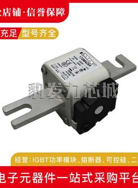 170M4313 170M4314 170M4315 170M4316 170M4317 170M4318熔断器