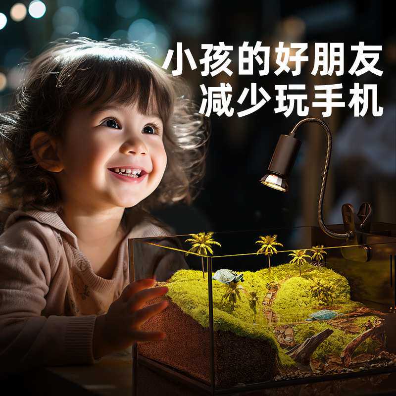 生态乌龟缸造景全套饲养鱼龟混养懒人养龟小型小乌龟专用家用