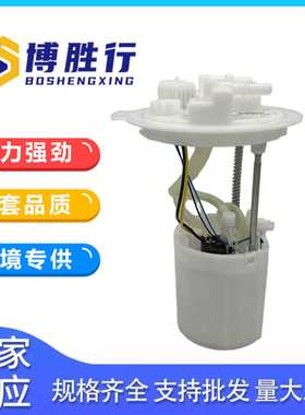 适用于东风风神白盖燃油泵总成B310030J-D02XX A2C14975700