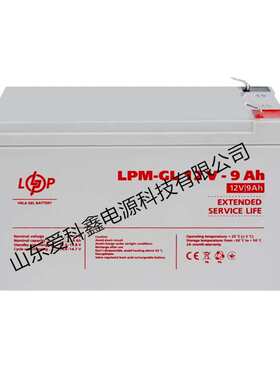 Logicpower蓄电池 LPM-GL12V-9AH 应急电源电池12V9AH