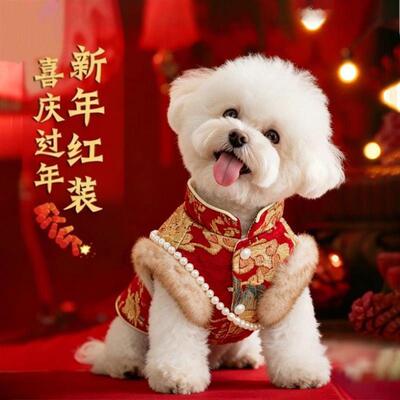 小狗狗新年衣服2025新款冬装泰迪比熊宠物小型犬雪纳瑞西高地冬季