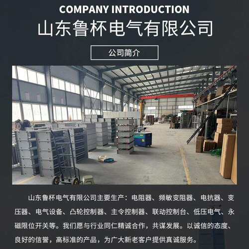 鲁杯RF54-315M-10/10J升降机制动电阻用于仪器设备及自动控制装置