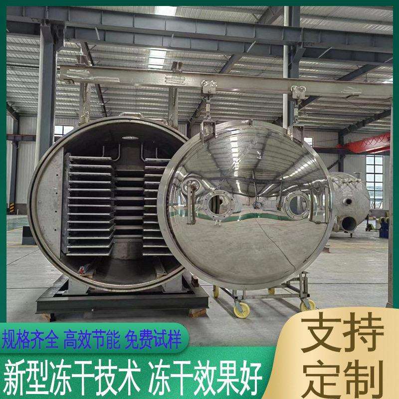 自动化果蔬脆真空冻干机 速溶蔬菜蛋花汤冻干设备 榴莲肉冻干机