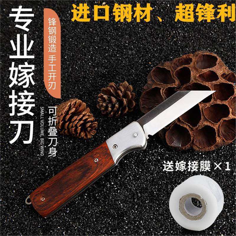 进口钢材嫁接刀园艺果树嫁接刀接树刀芽接刀削木盆景工具嫁接神器