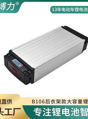 厂家供应48V20AH电动自行车锂电池 后衣架带尾灯电动车锂电池组