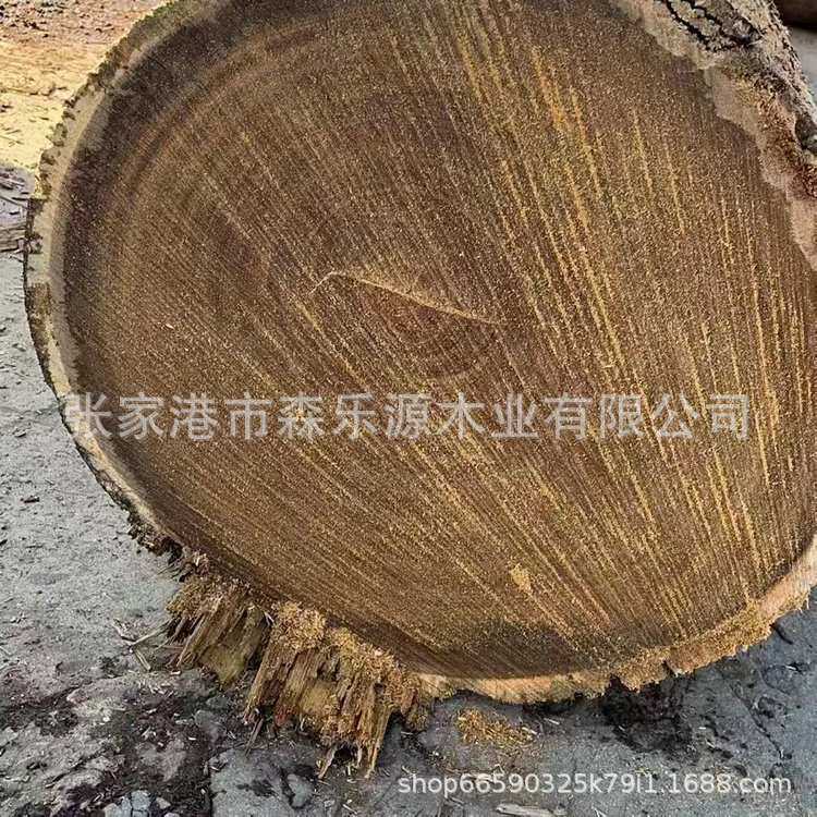 大量 龙凤檀 原木板材 ZWK南美黑檀二翅豆木材 家具实木地板木料