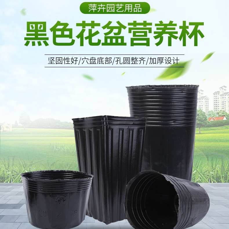 黑色营养钵普通塑料家庭园艺园林花卉专用育苗盆营养杯源头厂家