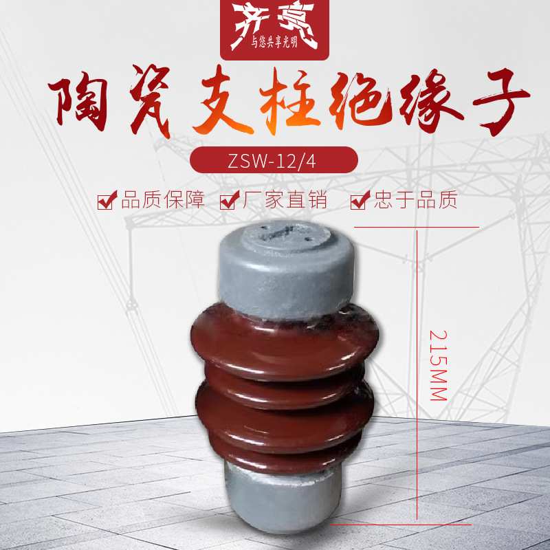 电站高压陶瓷支柱绝缘子ZSW-12/4防污铜母排支撑瓷瓶高原型10kv图片
