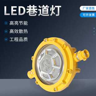 DGS40/127LED巷道灯矿用井下煤矿泛光灯防爆隔爆工业壳体套件