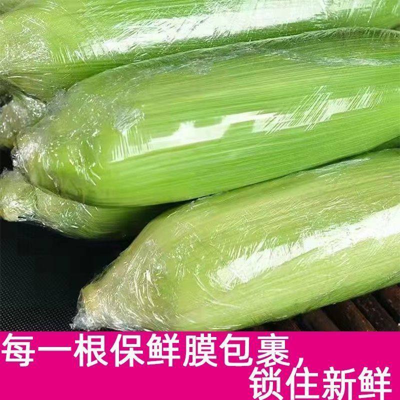 广西桂林新鲜水果玉米棒子1斤/个农家软糯当季营养甜玉米水果玉米,水产肉类/新鲜蔬果/熟食,新鲜玉米,淘宝优惠券,粉丝福利购,淘宝优惠卷