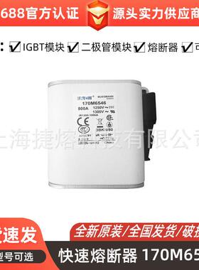 170M6546  170M6548 快速熔断器  保险丝 电子元器件 量大价优