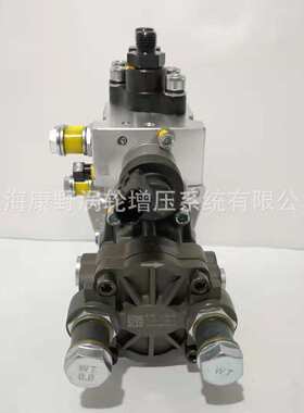 喷油泵CB2E916A1 HA10009302 YN4E和CB2E916F YN48CR DHA10002397