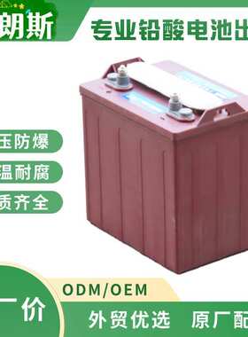 游览车蓄电池出口 3-DG-230（3-EV-190）6V230Ah 铅酸电瓶厂家