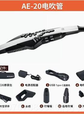 高档Roland罗兰电吹管乐器AE20AE3中老0克年人娱乐初学电子葫萨斯
