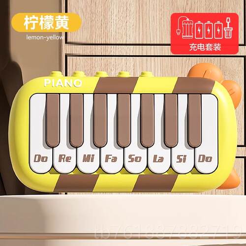正品电子琴能儿童迷你小乐钢琴玩宝宝口袋音键盘初学者具多功乐器