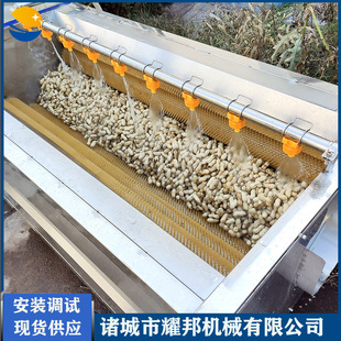 全自动花生清洗机 毛辊洗花生机器 大型不锈钢毛刷式花生清洗设备