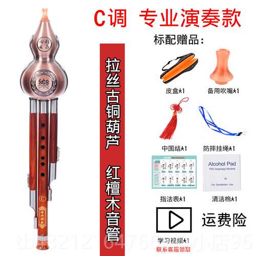 高档镀铜生红木专业演奏葫芦丝C调B降调A调成儿童初学防人摔7孔乐