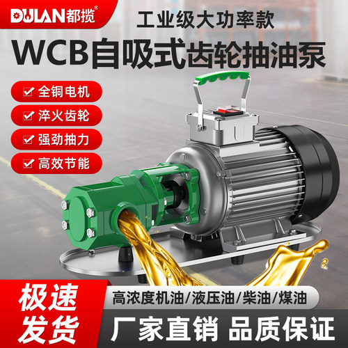 WCB齿轮抽油泵220v380v电动自吸高粘稠度机油柴油食用油不锈钢泵