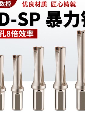 6du钻刀杆暴力钻u转钻头SP平底深孔车床用数控喷水快速6倍spu钻头