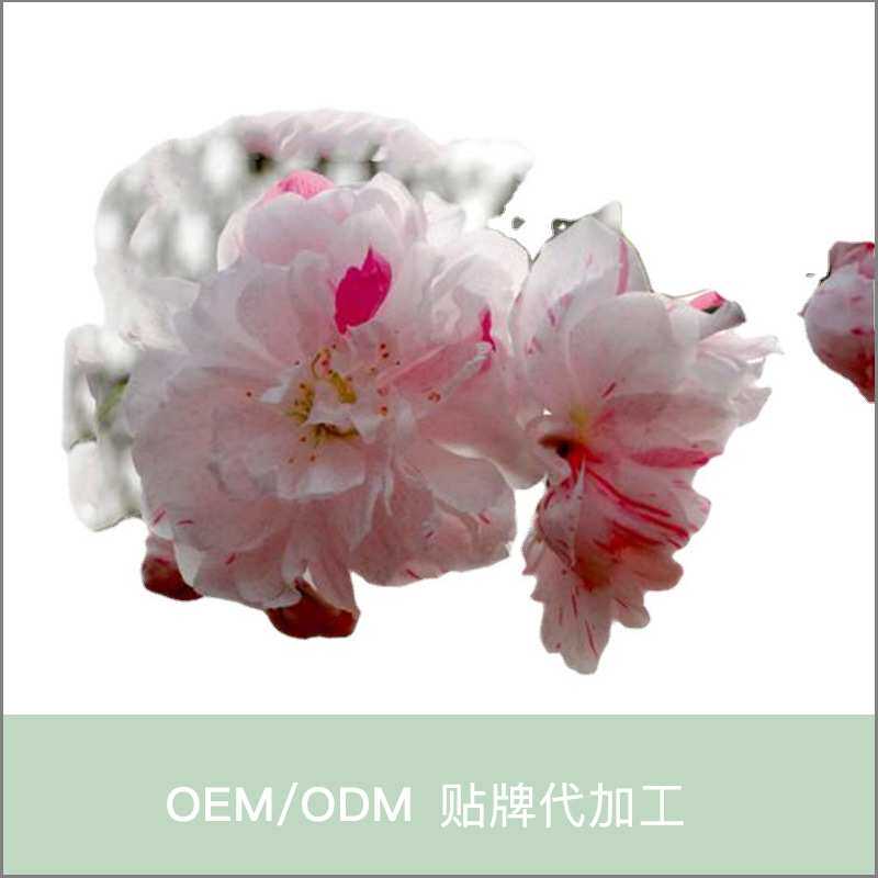 厂家货源小区绿化植物碧桃别墅庭院桃郊外公园风景树洒金碧桃