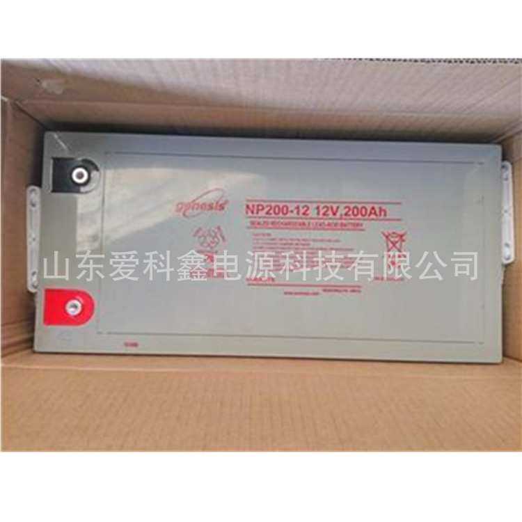 genesis霍克蓄电池NP200-12 直流屏UPS电力免维护电瓶12V200AH