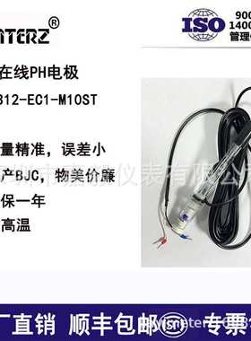 CA92618玻璃PH电极1312国产插入式在线PH计探头高温电极