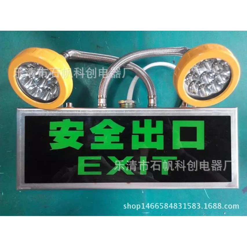 2*9W双头防爆应急灯 LED应急标志灯 自动充电式 IIB BCJ-2X20