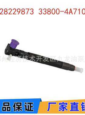 28229873 33800-4A710 338004A710喷油器 适用于德尔福现代起亚H1