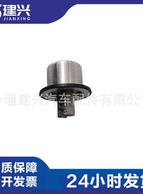 康明斯N14/NT855/M11发动机配件4952204/4973373/4318197节温器