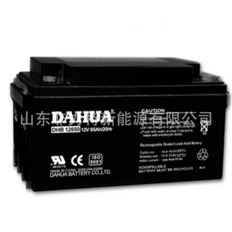 圣阳蓄电池12V50AH/SP12-50 UPS/EPS电源直流屏用铅酸免维护电瓶