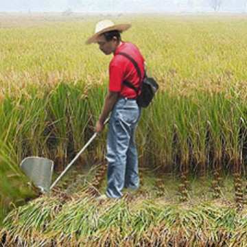 背负式四冲程锄草机松土机割稻机割草机小型微耕机翻土机旋耕