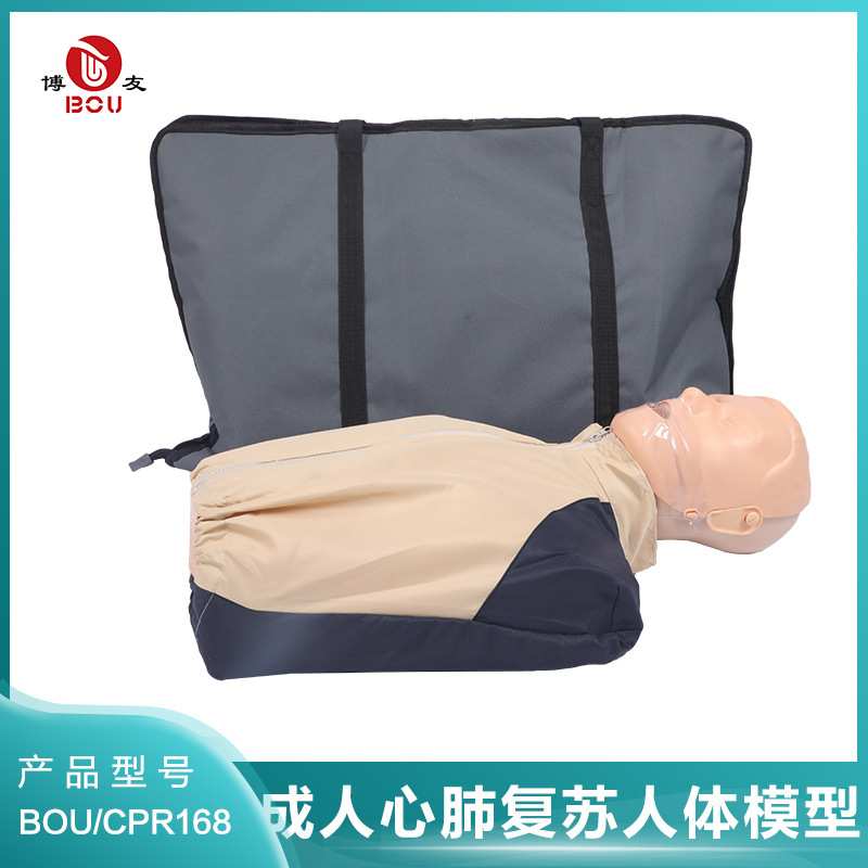 博友心肺复苏假人模型半身简易心肺复苏模拟人急救橡皮人带指示灯