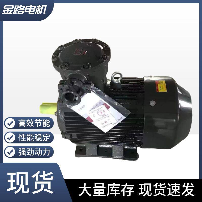 衡水金路电机厂家生产销售YBX4隔爆2级4级6级电机各种型号电动机
