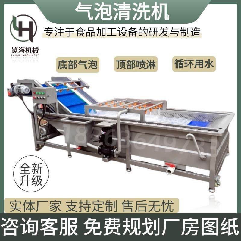中药材果蔬清洗机红枣花茶气泡清洗设备商用胡萝卜上海青洗菜机