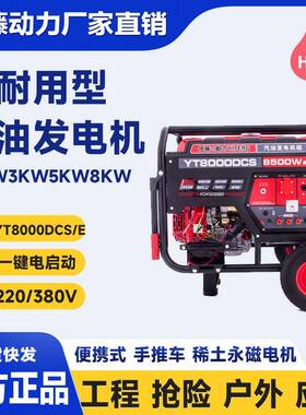 上海YT8000DCS移动式三相电启动小型汽油发电机8千瓦5KW