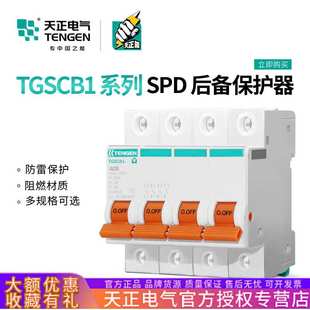 TENGEN天正电气 TGSCB1浪涌后备保护器SPD防避雷器4P前端分断开关