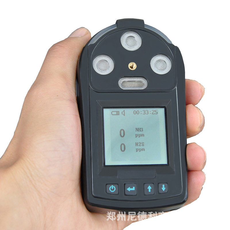 手持式氨气硫化氢检测器便携式二合一氨气和硫化氢浓度探测报警器