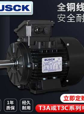意大利BUSCK电机三相异步铝壳电动机T3A 160L4系列15KW