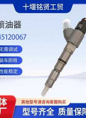 适用于沃尔沃210挖掘机喷油器20798683 共轨喷油器0445120067