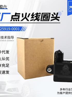 天然气发动机配件重汽玉柴锡柴潍柴202V25919-0001 点火线圈头