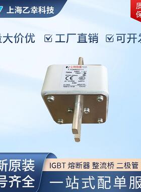 巴斯曼熔断器 170M6189 170M6190 170M6191 170M6192 170M6193
