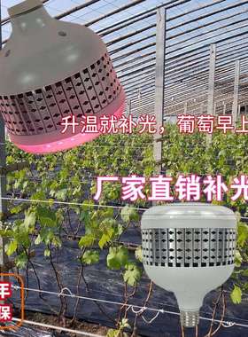 LED大樱桃葡萄草莓补光灯36W温室大棚植物生长光合作用补光生长灯