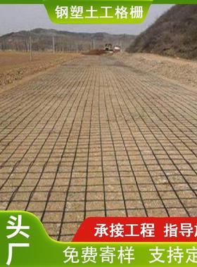 山东生产厂家GSZ钢塑复合土工格栅 路基挡土墙加筋钢塑土工格栅