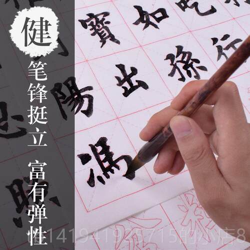正品中楷狼兼毫毛笔套文房四宝装初者书法国隶画 画学楷行三支套