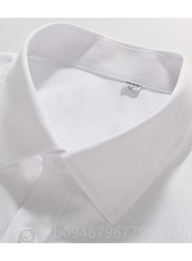 正品士白色男长袖衫工装衬浅蓝色职业衬衫纯白色试衬衫工作面服大