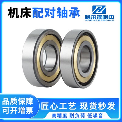 配对角接触球轴承7306 7307 7308 7309 7310 7311 7312 BM DB DF