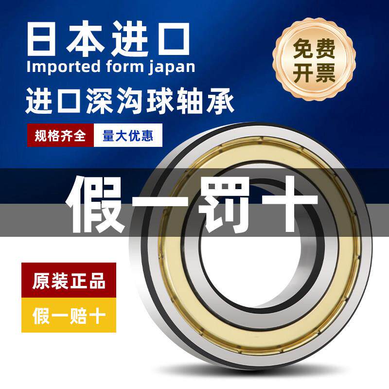 日本进口NSK轴承6300 6301 6302 6303 6304 6305 6306 6307 6308Z